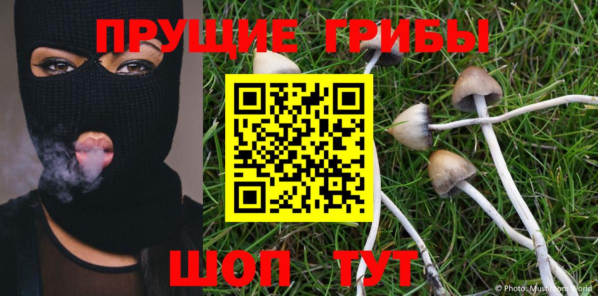 Галлюциногенные грибы Magic Shrooms Анжеро-Судженск