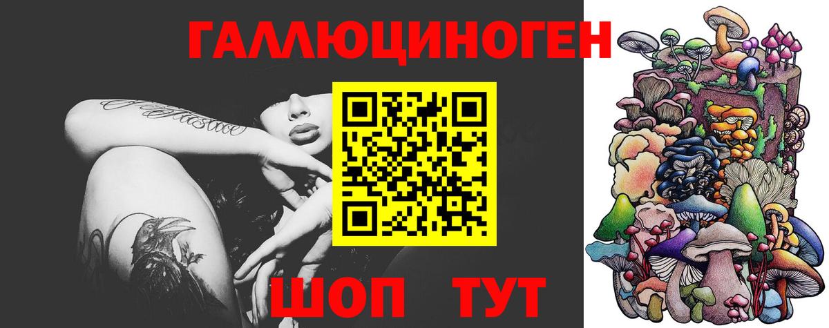 Анжеро-Судженск  Псилоцибиновые грибы мицелий  Вход с VPN 